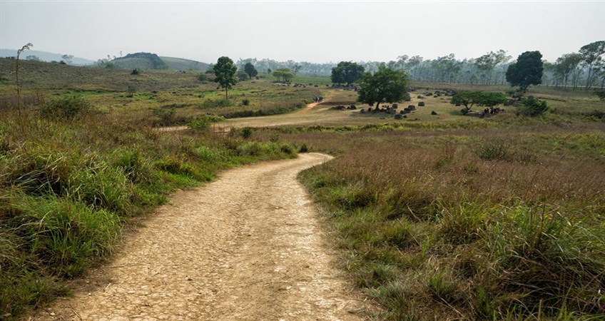 THE MYSTERIOUS PLAIN OF JARS